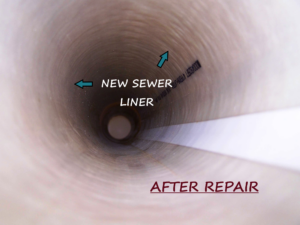 Sewer after repair 